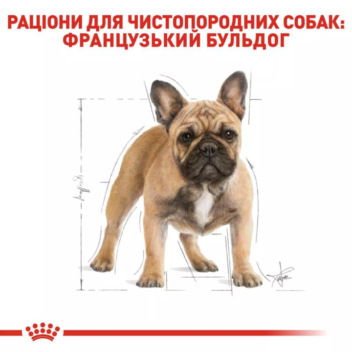 Замовити French Bulldog Adult 3 кг Royal Canin | Знижка до 23% | Відправка з Києва по Україні