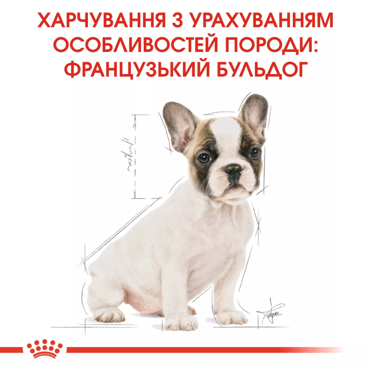Замовити French Bulldog Puppy 1 кг Royal Canin | Знижка до 23% | Відправка з Києва по Україні