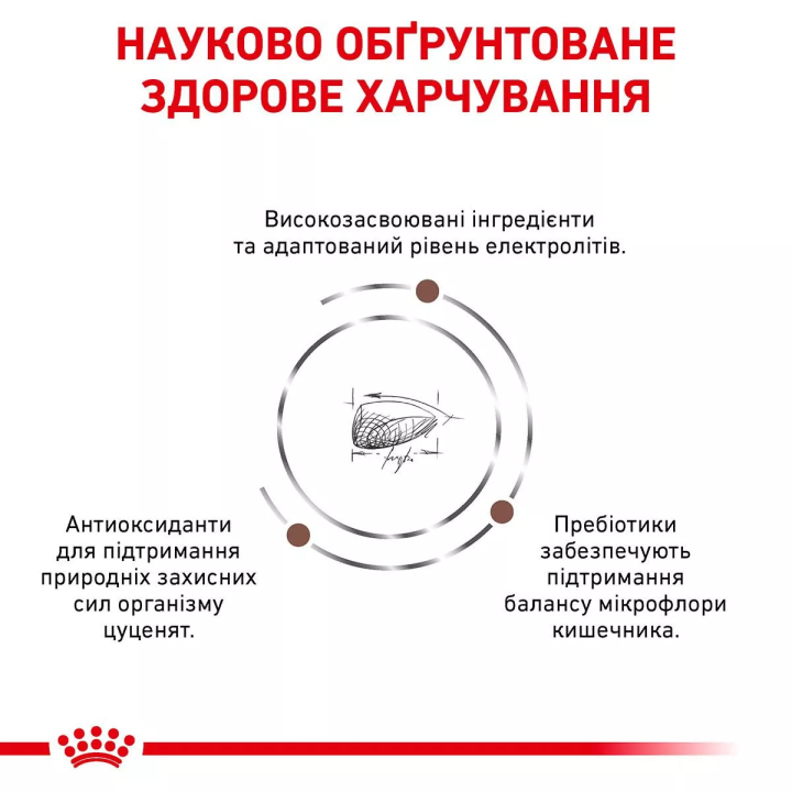 Замовити Gastro Intestinal Puppy 2.5 кг Royal Canin | Знижка до 23% | Відправка з Києва по Україні