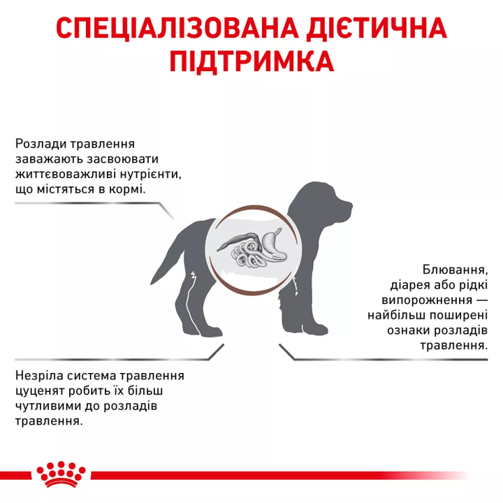 Замовити Gastro Intestinal Puppy 2.5 кг Royal Canin | Знижка до 23% | Відправка з Києва по Україні