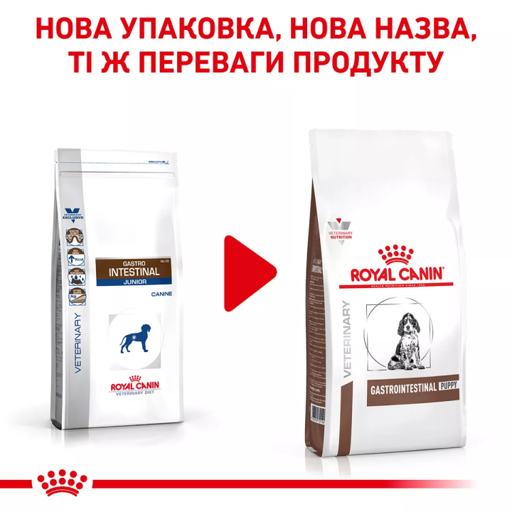 Замовити Gastro Intestinal Puppy 2.5 кг Royal Canin | Знижка до 23% | Відправка з Києва по Україні
