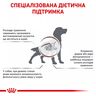 Low Fat - Royal Canin Gastro Intestinal для собак – купити Роял Канін Лоу Фет