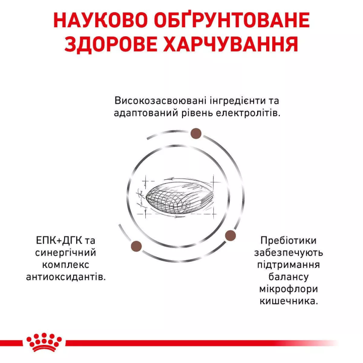 Low Fat - Royal Canin Gastro Intestinal для собак – купити Роял Канін Лоу Фет