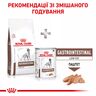 Low Fat - Royal Canin Gastro Intestinal для собак – купити Роял Канін Лоу Фет