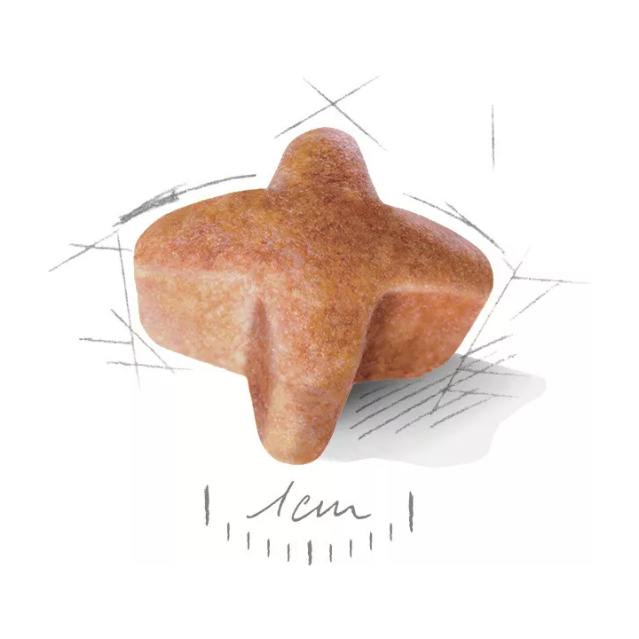 Замовити German Shepherd Adult 11 кг Royal Canin | Знижка до 23% | Відправка з Києва по Україні