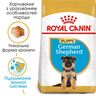 German Shepherd Puppy 3 кг | Royal Canin | Сухий Корм Для Цуценят Породи Німецька Вівчарка