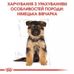 German Shepherd Puppy 3 кг | Royal Canin | Сухий Корм Для Цуценят Породи Німецька Вівчарка