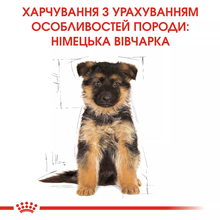 Замовити German Shepherd Puppy 3 кг Royal Canin | Знижка до 23% | Відправка з Києва по Україні