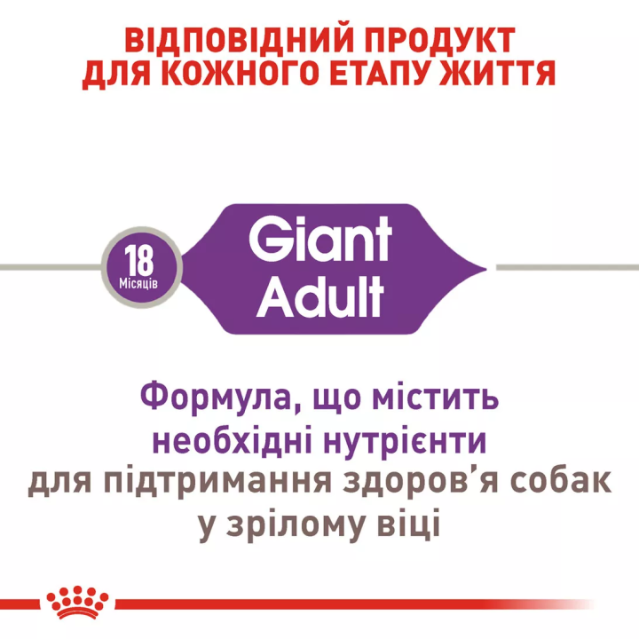 Замовити Giant Adult 15 кг Royal Canin | Знижка до 23% | Відправка з Києва по Україні
