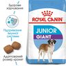 Замовити Giant Junior 15 кг Royal Canin | Знижка до 23% | Відправка з Києва по Україні