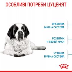 Замовити Giant Junior 15 кг Royal Canin | Знижка до 23% | Відправка з Києва по Україні