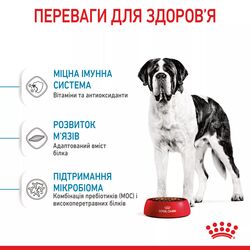 Замовити Giant Junior 15 кг Royal Canin | Знижка до 23% | Відправка з Києва по Україні