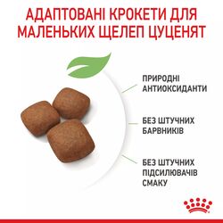 Замовити Giant Junior 15 кг Royal Canin | Знижка до 23% | Відправка з Києва по Україні