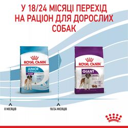 Замовити Giant Junior 15 кг Royal Canin | Знижка до 23% | Відправка з Києва по Україні