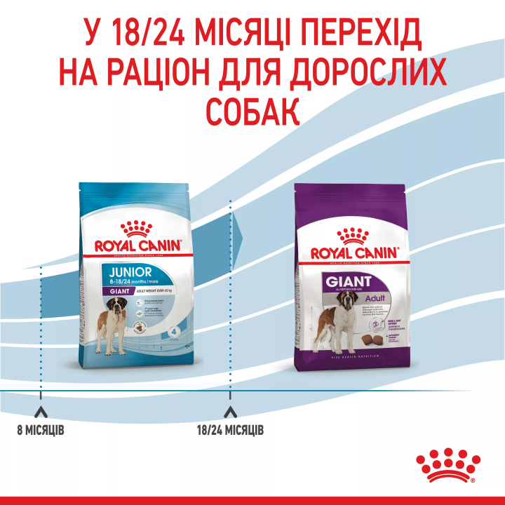 Замовити Giant Junior 15 кг Royal Canin | Знижка до 23% | Відправка з Києва по Україні