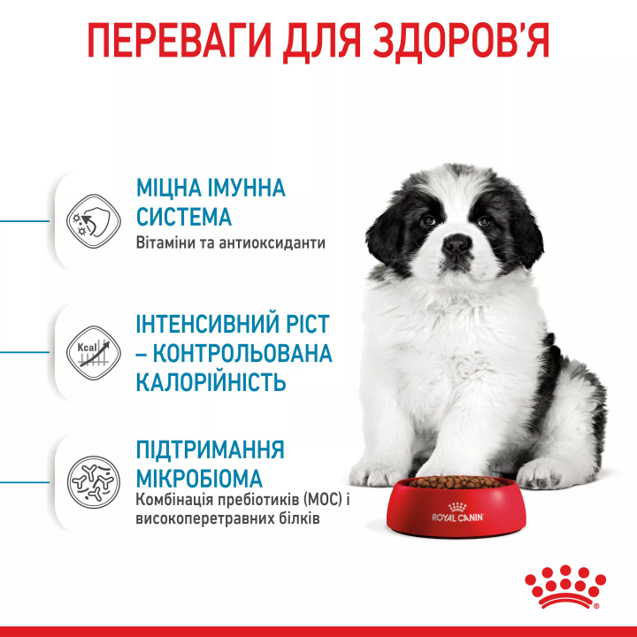 Замовити Giant Puppy 1 кг Royal Canin | Знижка до 23% | Відправка з Києва по Україні