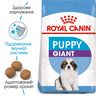 Замовити Giant Puppy 15 кг Royal Canin | Знижка до 23% | Відправка з Києва по Україні