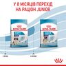 Замовити Giant Puppy 15 кг Royal Canin | Знижка до 23% | Відправка з Києва по Україні