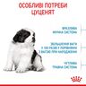 Замовити Giant Puppy 15 кг Royal Canin | Знижка до 23% | Відправка з Києва по Україні