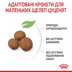 Замовити Giant Puppy 15 кг Royal Canin | Знижка до 23% | Відправка з Києва по Україні