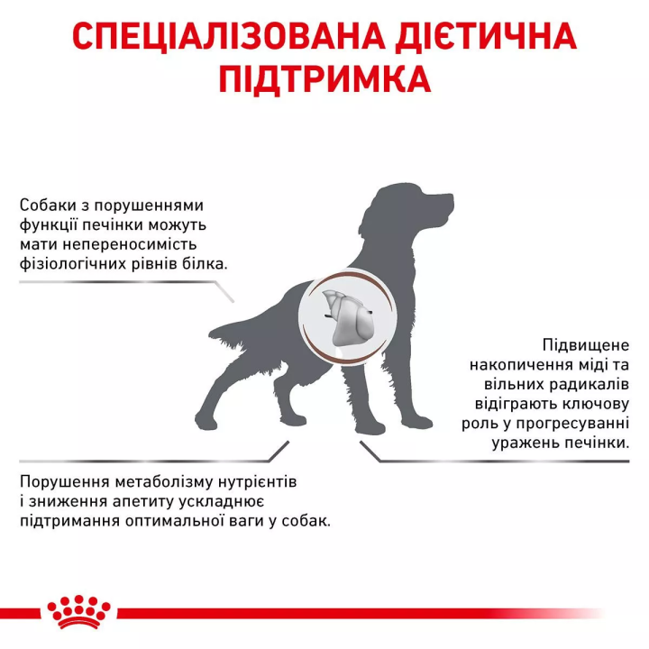 Замовити Hepatic Dog 1.5 кг Royal Canin | Знижка до 23% | Відправка з Києва по Україні