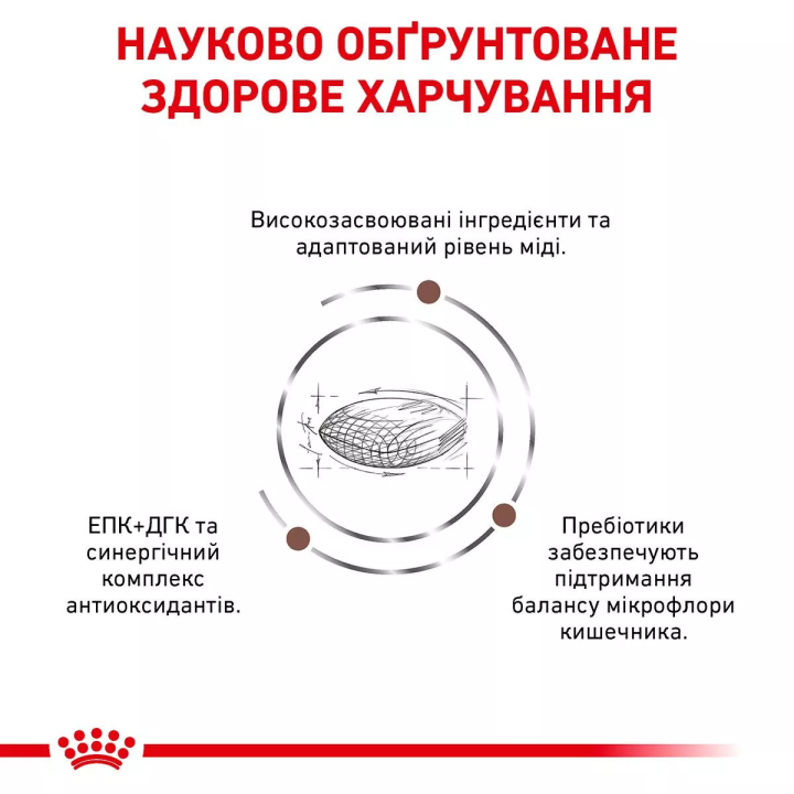 Замовити Hepatic Dog 1.5 кг Royal Canin | Знижка до 23% | Відправка з Києва по Україні