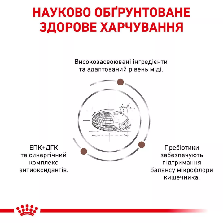 Науково Обгрунтоване харчування сухим кормом для котів Royal Canin Hepatic Cat 2 кг