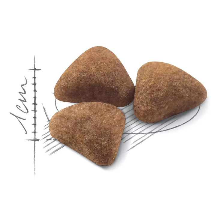 Замовити Indoor 10 кг Royal Canin | Знижка до 23% | Відправка з Києва по Україні