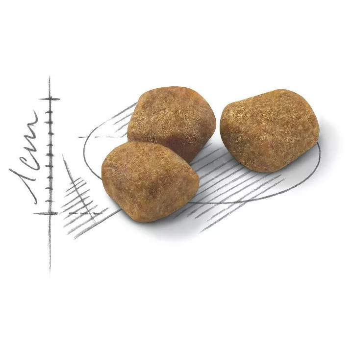 Замовити Indoor 7+ (3.5 кг) Royal Canin | Знижка до 23% | Відправка з Києва по Україні