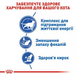 Royal Canin Indoor 7+ (3.5 кг) | Сухой корм ​​для кошек старше 7 лет живущих в помещении