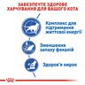 Royal Canin Indoor 7+ (3.5 кг) | Сухой корм ​​для кошек старше 7 лет живущих в помещении