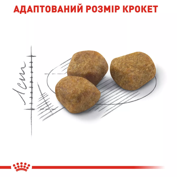 Замовити Indoor 7+ (3.5 кг) Royal Canin | Знижка до 23% | Відправка з Києва по Україні