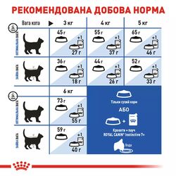 Royal Canin Indoor 7+ (3.5 кг) | Сухой корм ​​для кошек старше 7 лет живущих в помещении