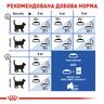 Royal Canin Indoor 7+ (3.5 кг) | Сухой корм ​​для кошек старше 7 лет живущих в помещении