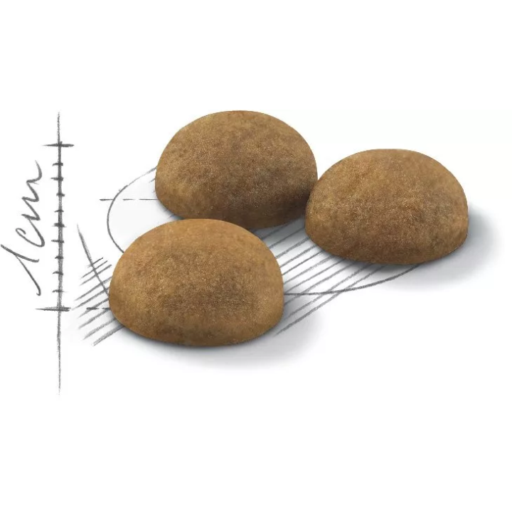 Замовити Indoor Longhair 2 кг Royal Canin | Знижка до 23% | Відправка з Києва по Україні