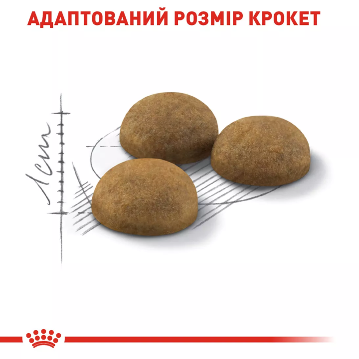 Замовити Indoor Longhair 2 кг Royal Canin | Знижка до 23% | Відправка з Києва по Україні