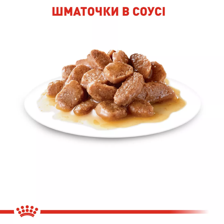 Замовити Instinctive In Gravy 0.085 кг Royal Canin | Знижка до 23% | Відправка з Києва по Україні