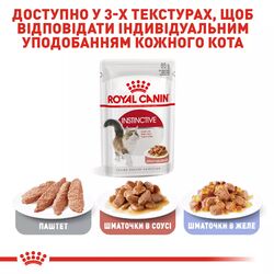 Замовити Instinctive In Gravy 0.085 кг Royal Canin | Знижка до 23% | Відправка з Києва по Україні