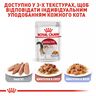 Замовити Instinctive In Jelly 0.085 кг Royal Canin | Знижка до 23% | Відправка з Києва по Україні