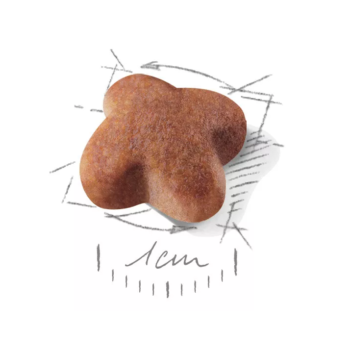 Замовити Jack Russel Adult 7.5 кг Royal Canin | Знижка до 23% | Відправка з Києва по Україні