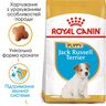 Jack Russell Terrier Puppy 1.5 кг | Royal Canin | Повнораціонний Сухий Корм Для Цуценят Породи Джек-Рассел-Тер'єр До 10 Місяців