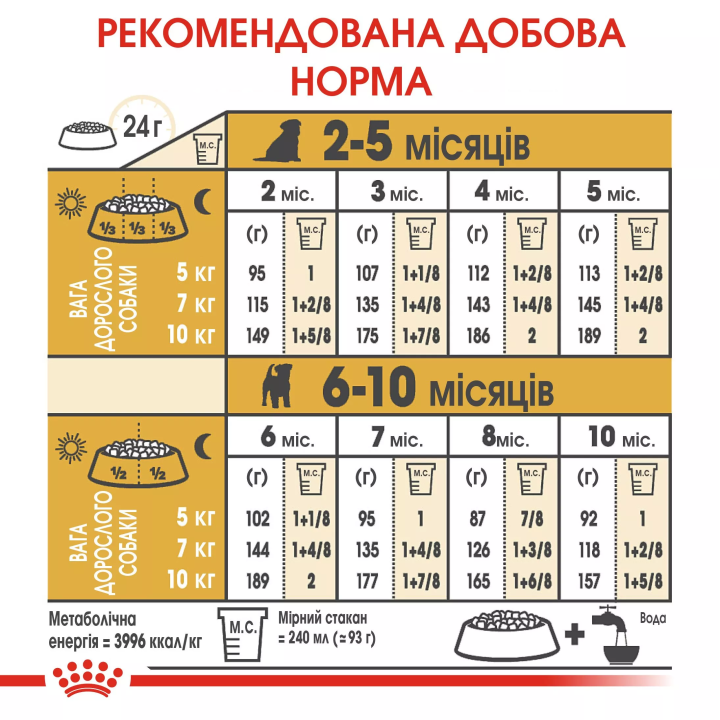 Замовити Jack Russell Terrier Puppy 1.5 кг Royal Canin | Знижка до 23% | Відправка з Києва по Україні