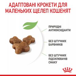 Kitten 0.4 кг | Royal Canin | Повнораціонний Сухий Корм Для Кошенят Віком Від 4 До 12 Місяців