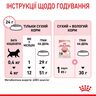 Замовити Kitten 2 кг Royal Canin | Знижка до 23% | Відправка з Києва по Україні