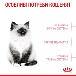 Замовити Kitten 2 кг Royal Canin | Знижка до 23% | Відправка з Києва по Україні