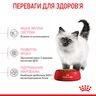 Замовити Kitten 4 кг Royal Canin | Знижка до 23% | Відправка з Києва по Україні