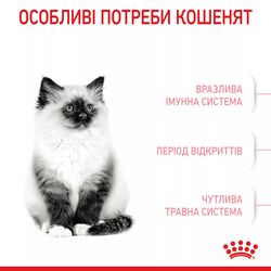 Kitten 4 кг | Royal Canin | Сухий Корм Для Кошенят Всіх Порід