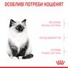 Замовити Kitten 4 кг Royal Canin | Знижка до 23% | Відправка з Києва по Україні