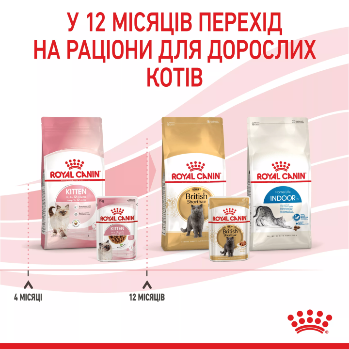 Замовити Kitten Instinctive In Gravy 0.085 кг Royal Canin | Знижка до 23% | Відправка з Києва по Україні