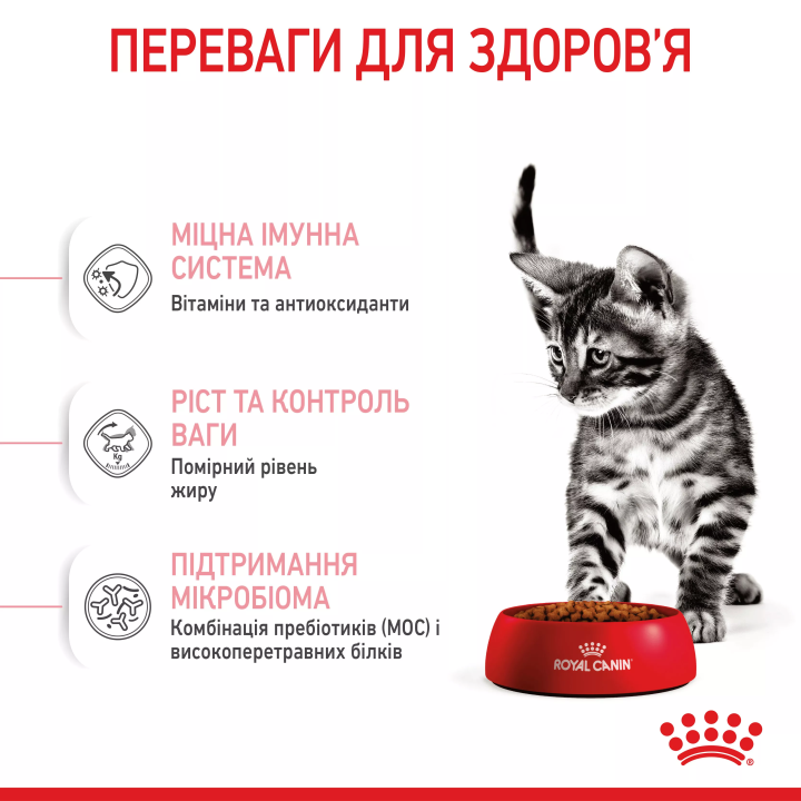 Замовити Kitten Sterised 0.4 кг Royal Canin | Знижка до 23% | Відправка з Києва по Україні